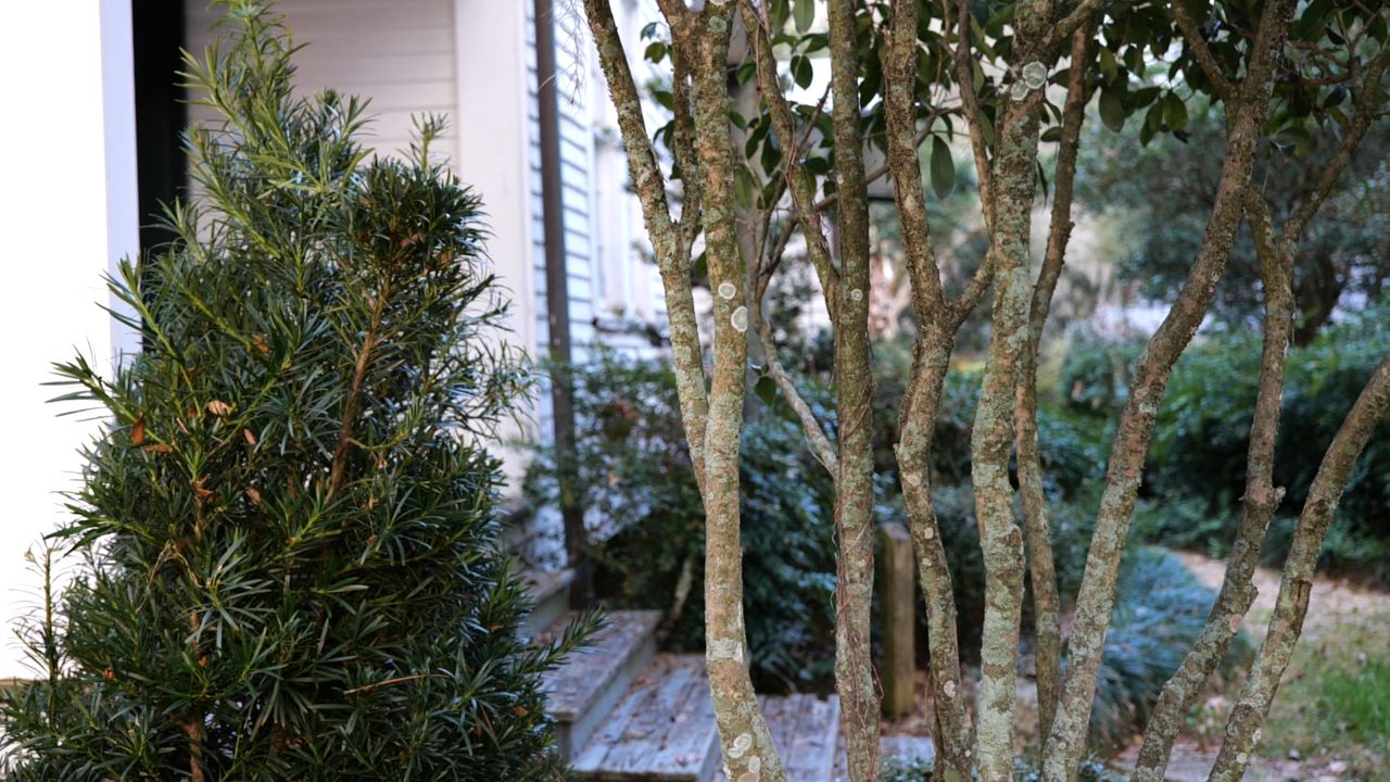 Get it Growing: How to start a low-maintenance landscape
